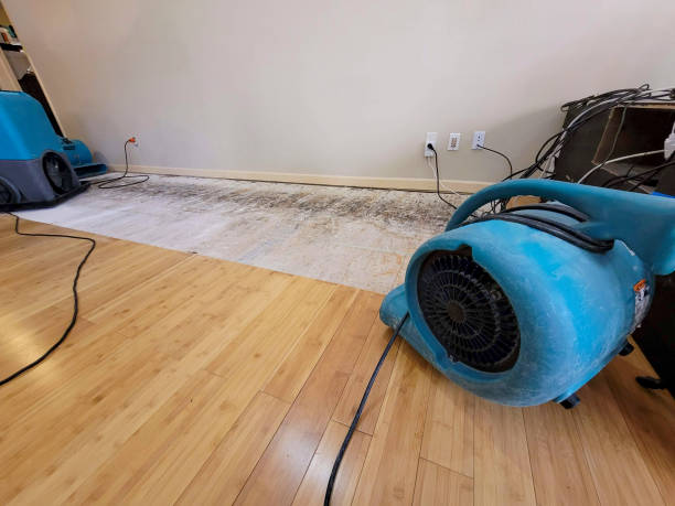 Professional Structural Drying technician working in Ridgeway, VA